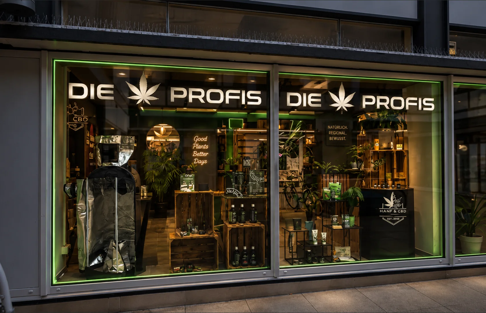 Schaufenster der Hanf Profis mit beleuchteter Beschriftung und grünem Rahmen